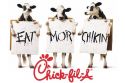 Chick-fil-A Headed for Cicero!